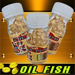 OIL FISH MINYAK IKAN kucing ISI 100 CAPSUL untuk semua jenis hewan peliharaan kucing 4njing hamster burung kelinci ayam dll perkutut murai batu Kacer kenari love bird Anis merah nagata juara super n Ebod oriq sangkar pakan vitamin suplement obat jamu bird