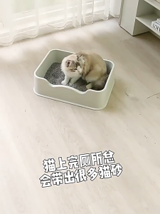 🔥🔥🔥Cat Litter Mat Cat Litter Filter Mat  Cat Litter Box Pasir Tandas Kucing  Cushion Cat  Pad  Cat Carpet