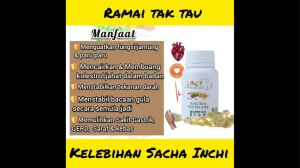 Kekal Bertenaga & Jadi Sumber Kesihatan Kelaurga dengan Sacha inchi oil HNR
