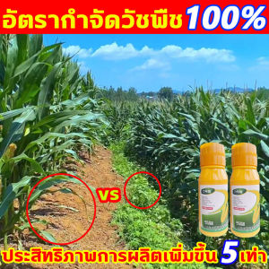 กำจัดวัชพืชทุกชนิด ยาฆ่าหญ้าในข้าวโพด ฆ่าแค่วัชพืชไม่ทำลายข้าวโพด ยาฉีดหญ้าข้าวโพด ไม่ทำร้ายดิน ยาฆ่าหญ้าไร่ข้าวโพด ผลผลิตเพิ่มเป็น5เท่า ยาชุดข้าวโพด ฉีดทับข้าวโพดได้ ยาฆ่าหญ้าในป่าข้าวโพด เห็นผลทันที ฆ่าหญ้าข้าวโพด ฆ่าหญ้ารอบข้าวโพด ยาฆ่าหญ้าข้าวโพด