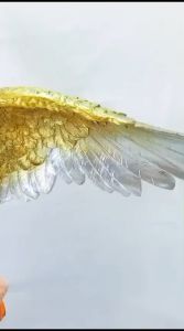 Patung Malaikat Mikael Tinggi 80 cm - PR 02 (Sudah Termasuk Bubble wrap 6 Meter)