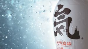 元气森林-苏打气泡水 480毫升 0糖0脂肪0卡路里 清爽无负担 GENKI FOREST- 0 Sugar 0 Fat 0 Calories Sparkling Soda 480ML