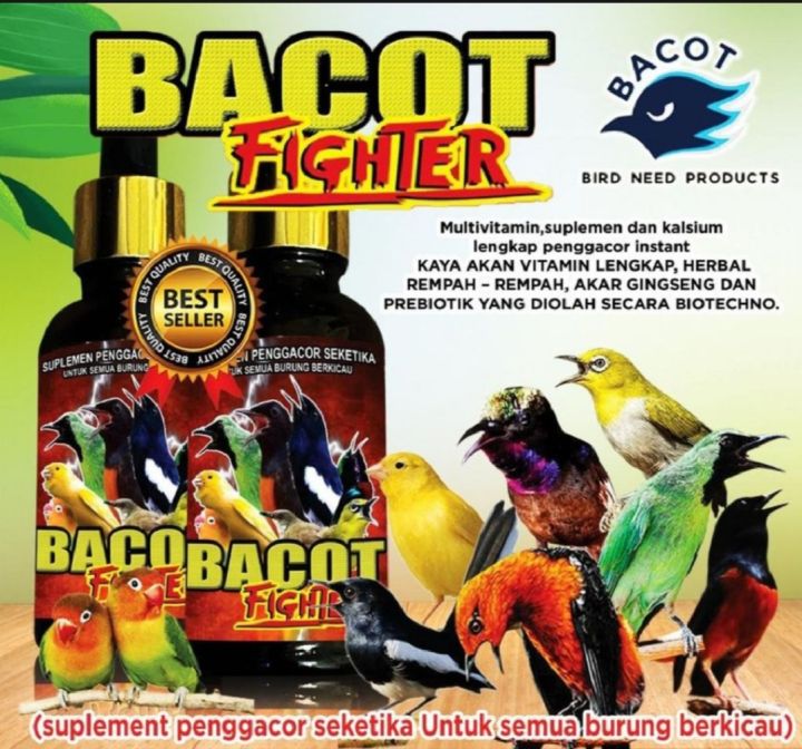 Eng yalangoch kokrak fotosuratlari