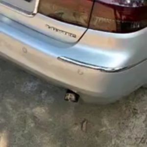 Knalpot mobil bass kering gahar JS racing Biru brio rush sigra xenia city vios dll