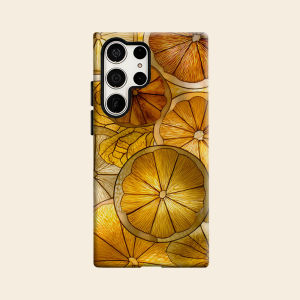 BILIBILI | Stained Glass Citrus Luxury Fashion Full Lens Protective Case for Samsung Galaxy S26 S25 S24 A56 A36 Plus Ultra