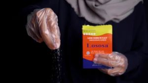 ( BEST QUALITY ) Garam Lososa 250gr Garam Kesehatan - Garam Rendah Natrium / Garam Rendah Sodium by KEDAI REJEKI