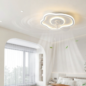 DGY | Modern Simple Home & Dining Room Ceiling Fan Light