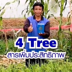 โฟร์ทรี 4Tree (3 ซอง) สารเพิ่มประสิทธิภาพพืช อาหารเสริมพืช ปลอดสารเคมี สำหรับพืชพรรณทุกชนิด ของแท้ 100%