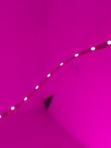 JINFI | Full Spectrum Waterproof LED Grow Light Strip
