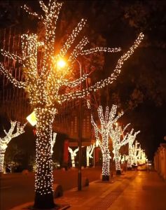 72L LED Christmas Decorative Lights/Colorful String Lights/Holiday Decorative Flash Lights