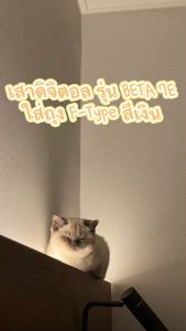 เสาดิจิตอล รุ่น BETA DIGITAL-7E ใส่ถุง F-Type สีเงิน