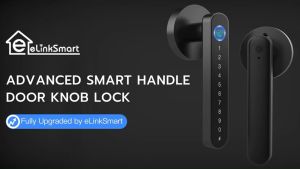 Fingerprint Door Knob Lock Smart Electronic Biometric Door Lock Keyless Entry Door Lock with Keypad Handle for Bedroom Interior