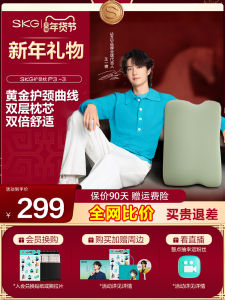 Wang Yibo SKG Neck Support Pillow P3-3 Wealth Bag Special Memory Foam Sleep Aid Hot Compress Sleep Pillow Gift Box