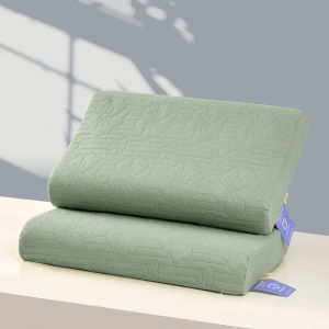 JIFANPAUL | Antibacterial Dust Mite Resistant Memory Foam Pillowcase Set