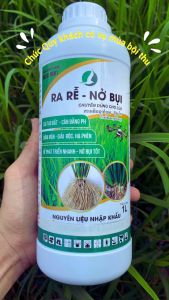 RA RỄ NỞ BỤI ( Phân bón chuyên lúa 1 lít)