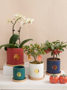 Red Ceramic Flower Pot Luxury Butterfly Orchid Fortune Tree Special Small Potted Plant Container Simple Style Desktop Decoration