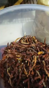 Cabai Rawit Kering alami / Cabe Rawit Kecil Kering / Natural Dried Cayenne Pepper