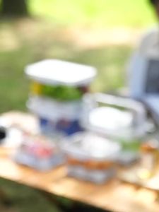 Portable Outdoor Food Container Refrigerator