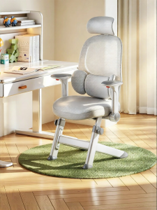 XIGE | Ergonomic Lumbar Support Study Chair for Children and Teenagers