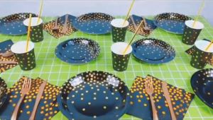 Party Disposable Dinnerware Set 7Inch And 9Inch Plates Napkins Cups Forks Knives Spoon for Graduation Birthday