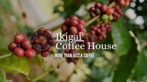 Coffee Beans Arabica and Robusta blend 200 grams