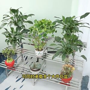 Stainless Steel Rack Stand Flower Pot Stand Garden Rack Plant Rack Outdoor Rack 不锈钢落地阶梯花园花架 1/2/3 Layers