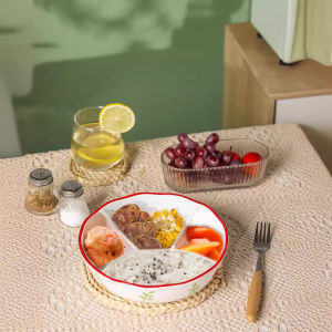 Sectioned Plate for Individual Use