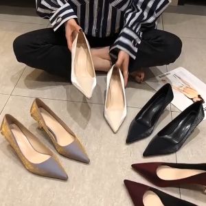 Korean 2 inch Beige Pointed Toe Fashion Satin Formal Heels for Women Party Evening