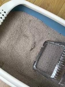 2 in 1 Stainless Steel Cat Litter Scoop Durable Mesh Kitten Litter Cleaner Pet Cleaning Tools with Hanging Hole Cat Accessories