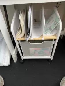 2 Tier Movable Storage Rack Trolley Rack with Storage Drawer Cabinet Under Desk Cabinet Multifunctional Drawer Storage Cart with Wheels printer cart with drawer for Kitchen Bathroom office