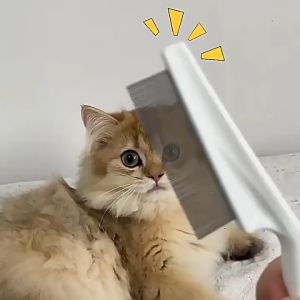 Sisir Kutu Kucing Anjing Sisir Kucing Sisir Grooming Kucing