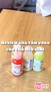 Sữa tắm Yoko cho chó mèo nhiều mùi hương - Mang mùi hương dịu nhẹ của 4 mùa