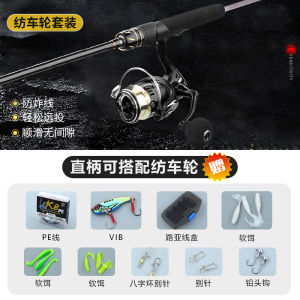 2025 DAWAEWE New Model Far Casting Straight Handle Full Set Lure Rod Fishing Rod Kit Double Pole Tip Set for Ocean River Lake
