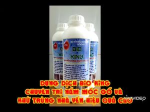 CHỐNG NẤM MỐC GỖ KHỬ TRÙNG NHÀ YẾN NGĂN CHẶN CÔN TRÙNG GÂY HẠI - DUNG DỊCH BIO KING