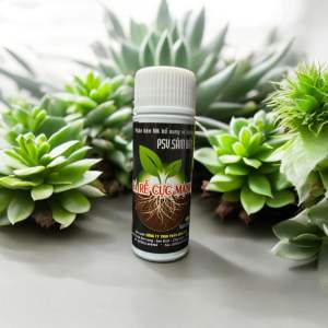 Phân bón Kích Ra Cực Mạnh - Giâm Cành - Chiết Cây