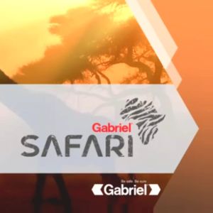 [1pc] CASTON SAFARI REAR DAIHATSU GRANMAX VAN PICKUP HEAVY DUTY ABSORBER GABRIEL