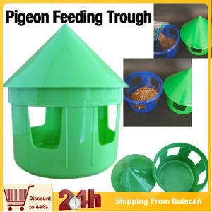 Pigeon Feeder Pigeon Drinking Container Sandbox Pet Bird Pet Bird Parrot Container Supplies