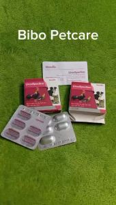 LincoSpectina - Hỗ trợ viêm tiêu hóa khớp hô hấp cho chó mèo gà đá chim cảnh