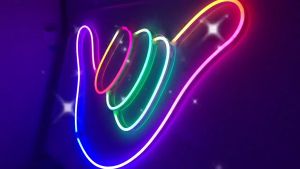 AceDeal [Support Lalamove Bulk Orders] 5V RGBIC Neon Strip Smart Bluetooth App Control Dream Color Running Flow Rainbow Effect 5Meters LED Strip Light Included Remote+Clips