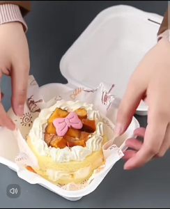 [10 PCS] Bagasse Box / Biofoam Burger Box / Korean Bento Cake Eco friendly Cake Box Kemasan Kue