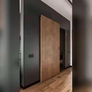 Invisible Trackless Ghost Door Bedroom Bathroom Two-Way Buffer Push-Pull Translational Sliding Gate