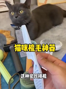 Grooming Comb for Pet Dog Cat Hair Removal Comb Anti Slip Stainless Steel Needle Fur Comb Pin Brush Pet Supplies