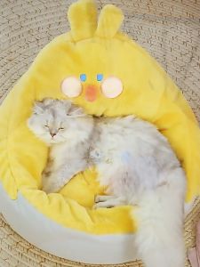 Warming Soft Material Cat Bed In Adorable Designs