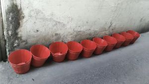 Combo 5 chậu to trồng hoa vạn thọ dịp tết màu đỏ / trắng- CB 11 - Ø 28.0 x 20.0 cm