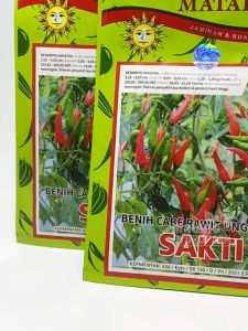 Benih Cabai Rawit Hijau Sakti: Panduan Lengkap
