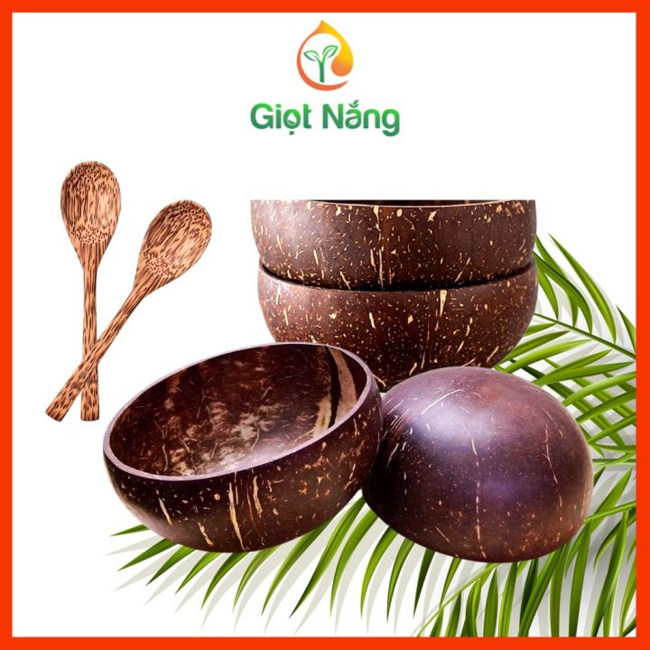 Bát Chén Gáo Dừa và Muỗng Gỗ Dừa Size Lớn Từ Nông Sản Giọt Nắng | Lazada.vn