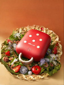 [China Plug Adapter Needed] Bear | Multi-Function Toaster Oven for Home Use