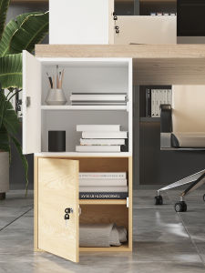 Office Lockable Storage Cabinet Low Profile Document Organizer Tool Storage Desk underneath Small Cabinet Modern Minimalist Style