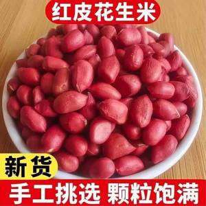 Northeast Fresh Red Skin Peanut