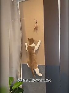 Cat Scratch Mat Anti Scratch Pad Sofa Protector Self-Adhesive Cat Mat Climbing Frame Furniture Protector Cat Scratcher for Couch Non-Slip Mat Indoor Cat Toy Anti-Scratch Carpet Heavy-Duty Scratch Mat Sofa Guard for Cats